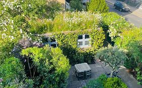 Garden Cabin